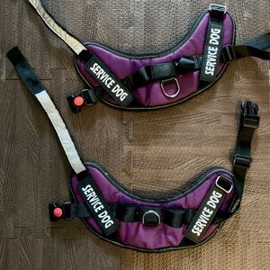Service dog harnesses pair